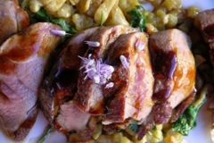 duck2